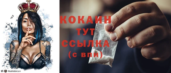 сатива Кинешма