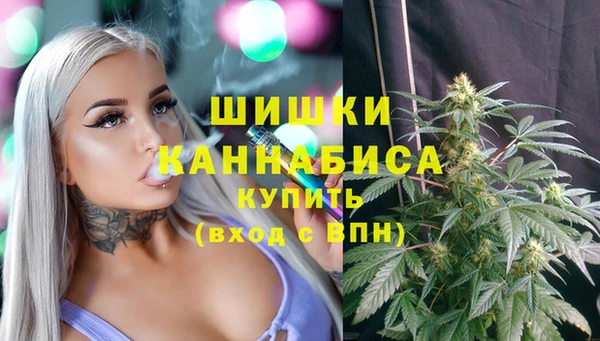 сатива Кинешма