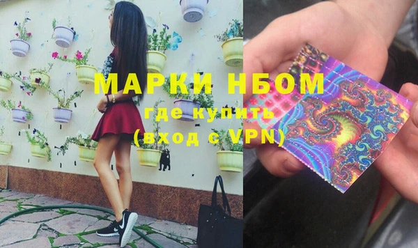 сатива Кинешма