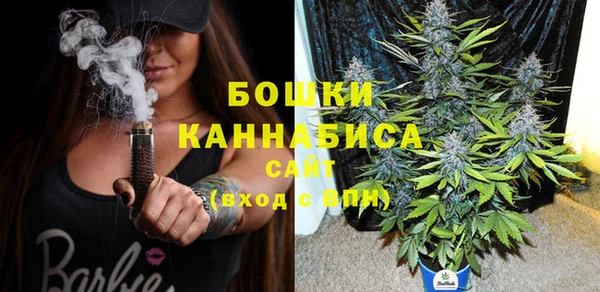 сатива Кинешма