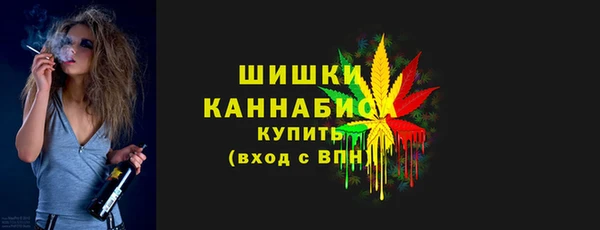 сатива Кинешма