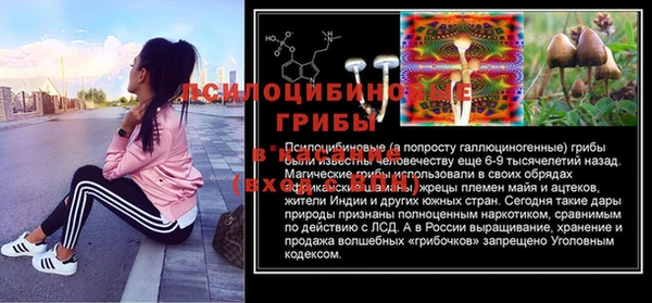 сатива Кинешма