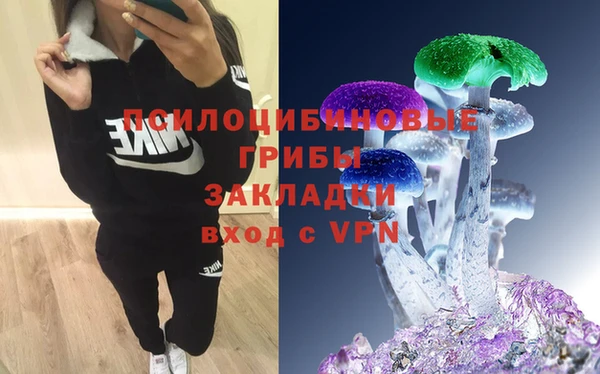 сатива Кинешма