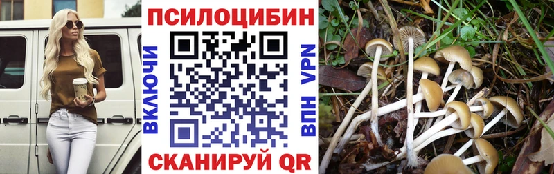 Галлюциногенные грибы GOLDEN TEACHER  Купить  Завитинск 